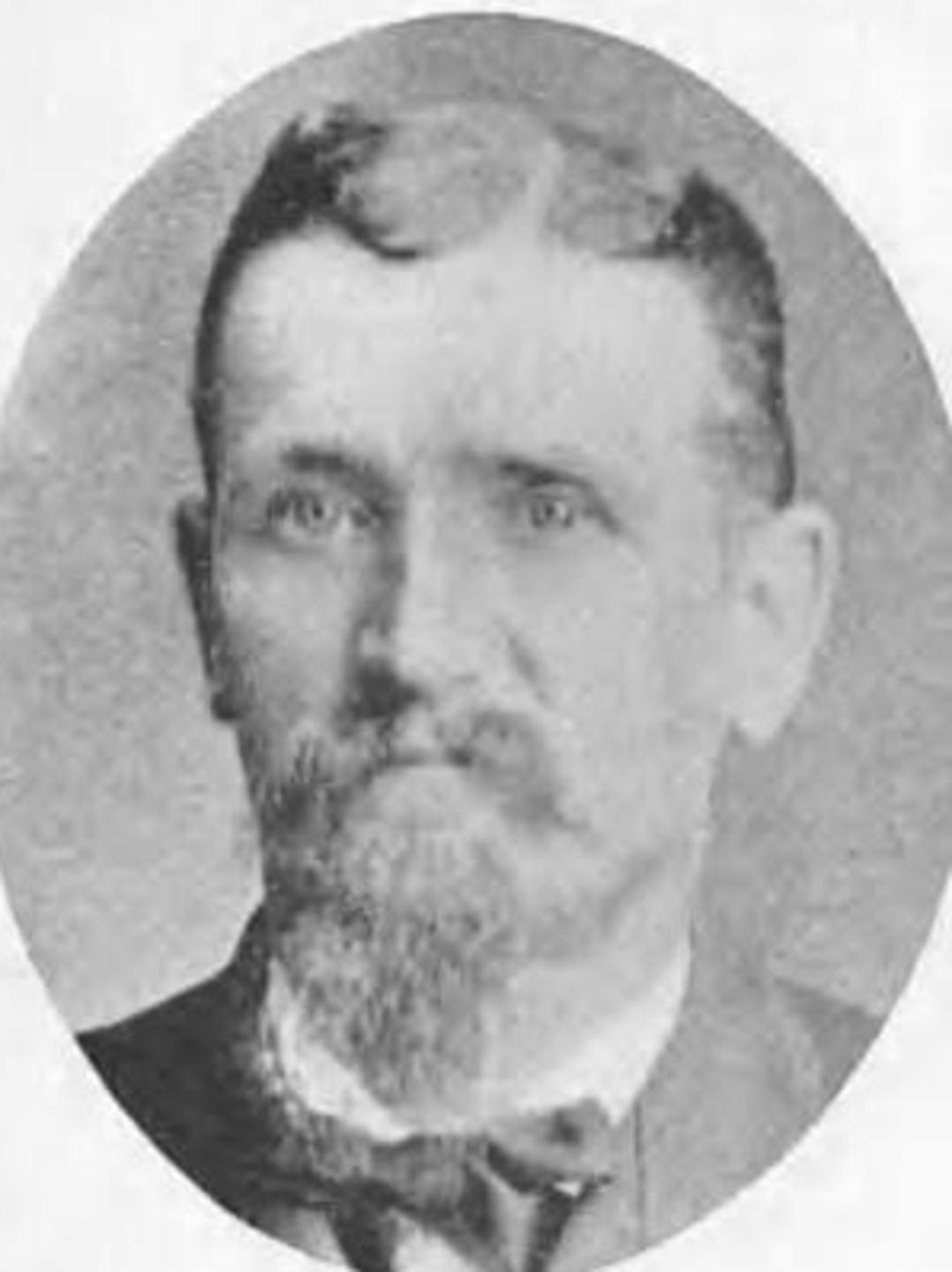 Edwin Morrell Curtis (1839 - 1906) Profile
